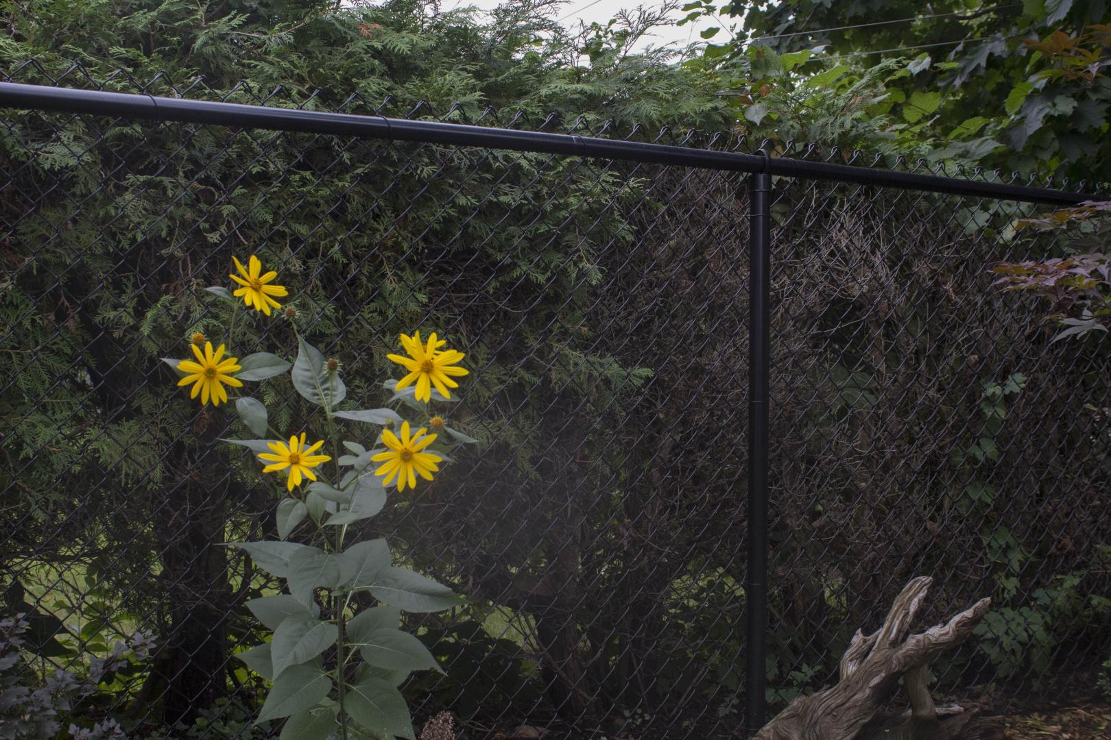Chain Link Fence Installation Ottawa